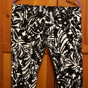 Black and white dress pants